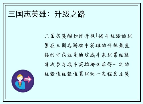 三国志英雄:升级之路
